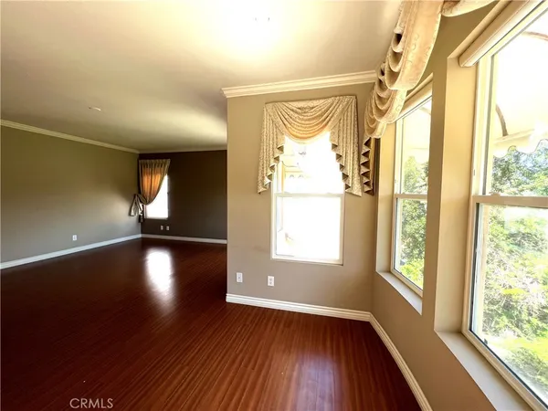 a view of a pathway with a tree