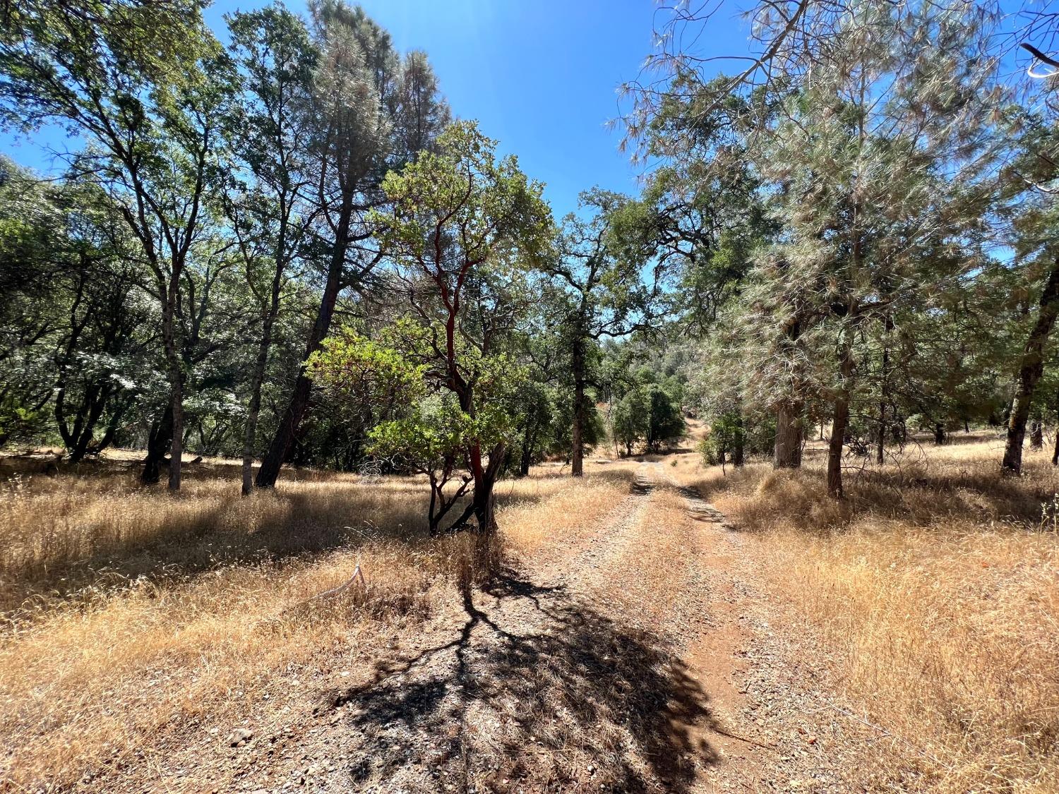 3090 Omo Ranch Road Somerset, CA 95684 - Photo 20 of 40