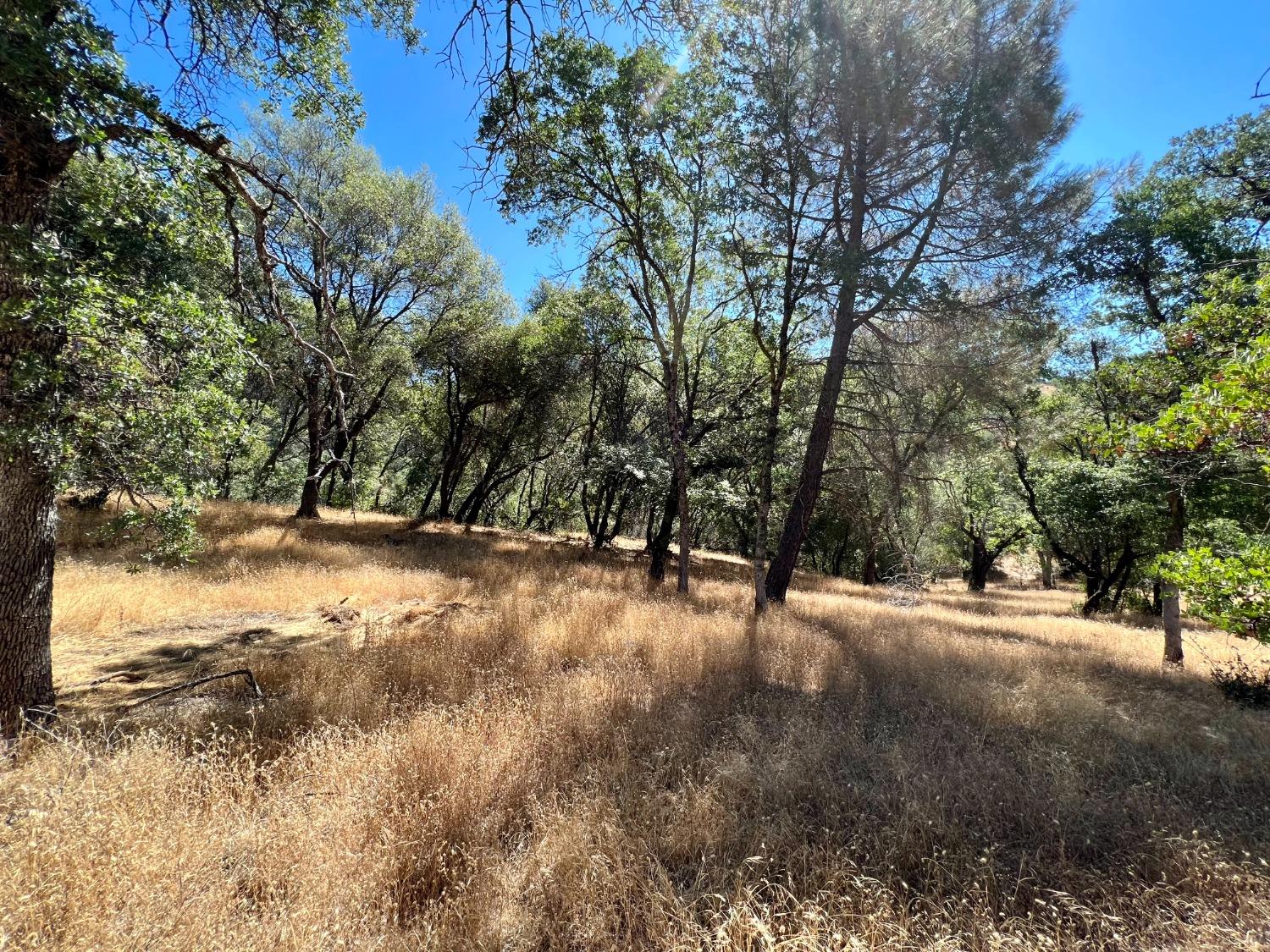 3090 Omo Ranch Road Somerset, CA 95684 - Photo 21 of 40