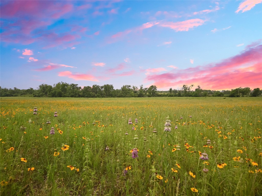 1515 County Road 315 Jarrell, TX 76537 - Photo 12 of 15