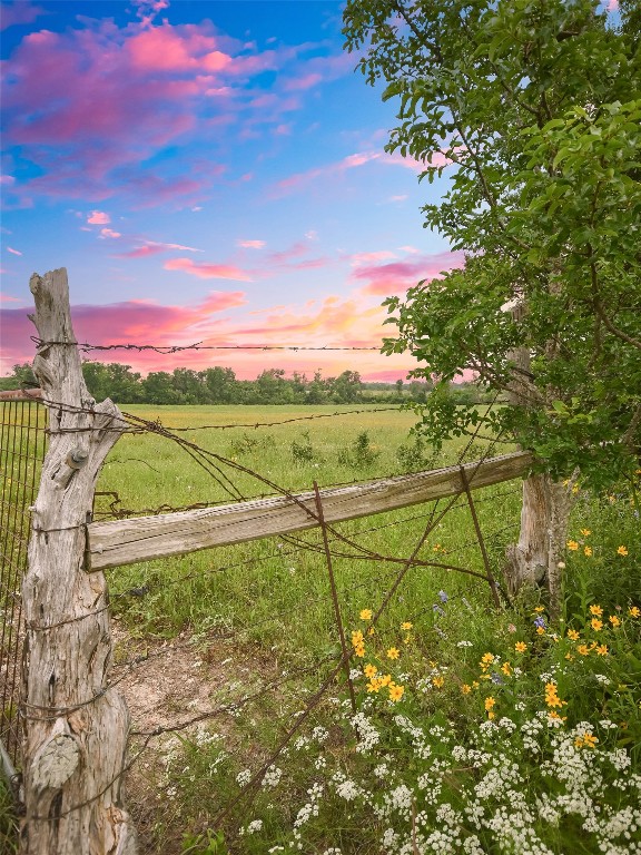1515 County Road 315 Jarrell, TX 76537 - Photo 13 of 15