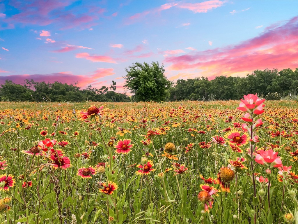 1515 County Road 315 Jarrell, TX 76537 - Photo 14 of 15