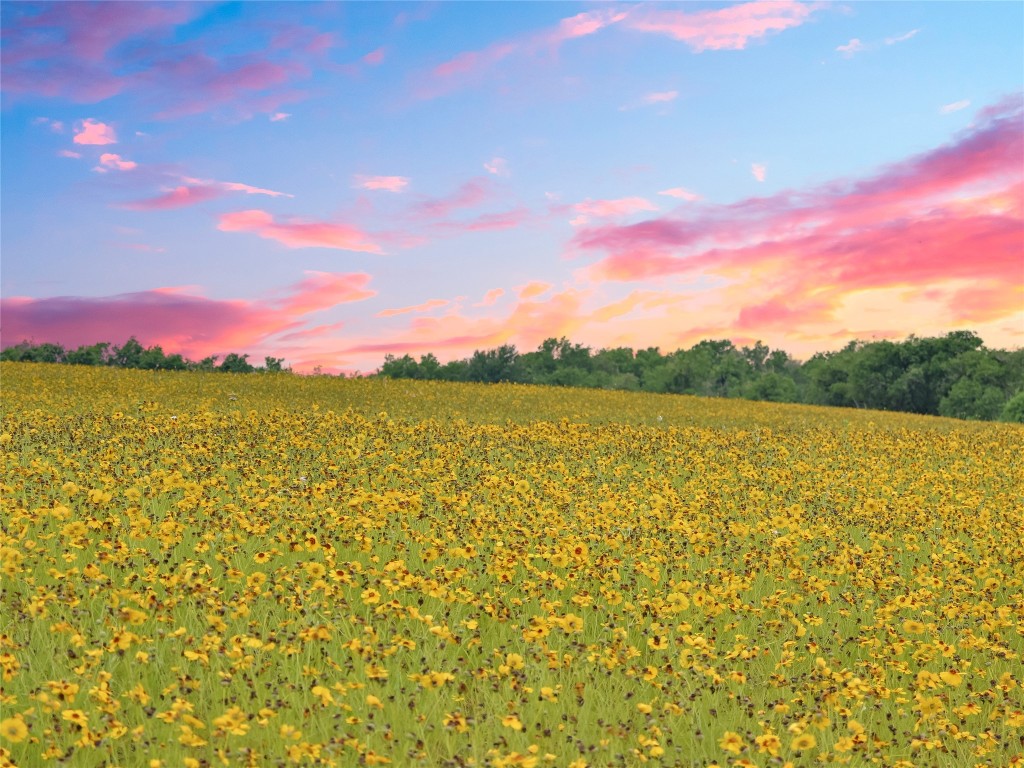 1515 County Road 315 Jarrell, TX 76537 - Photo 2 of 15