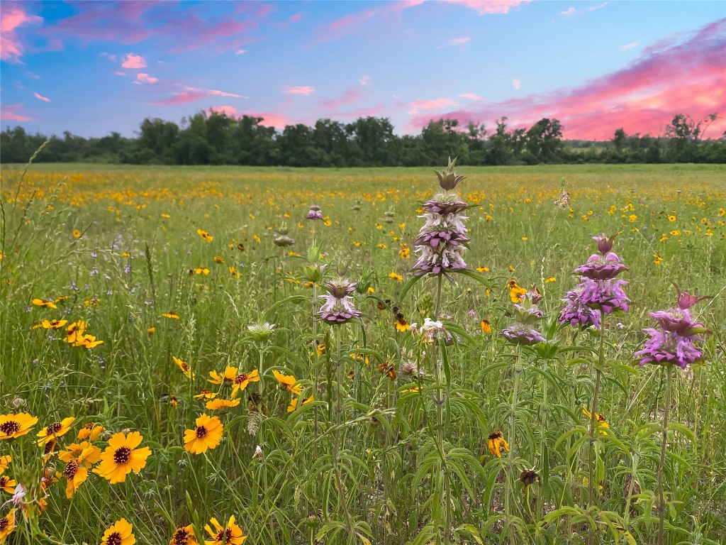1515 County Road 315 Jarrell, TX 76537 - Photo 5 of 15