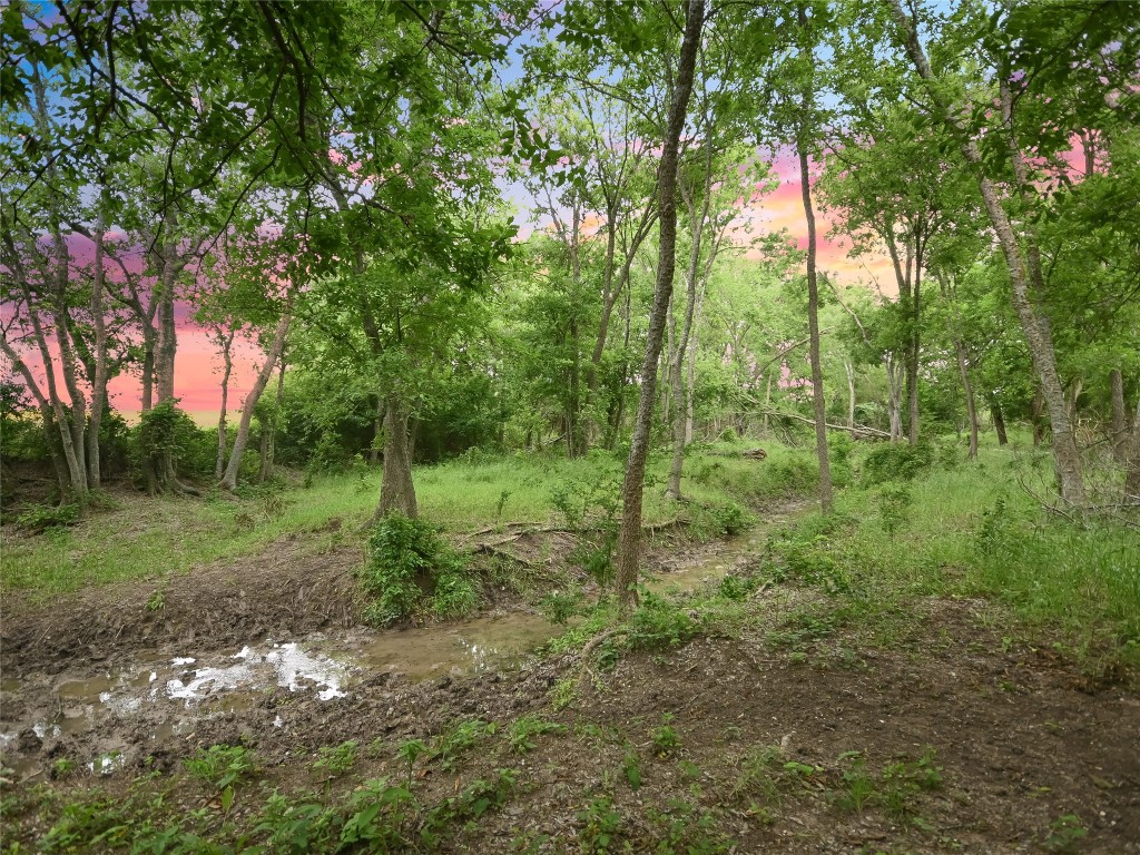 1515 County Road 315 Jarrell, TX 76537 - Photo 7 of 15