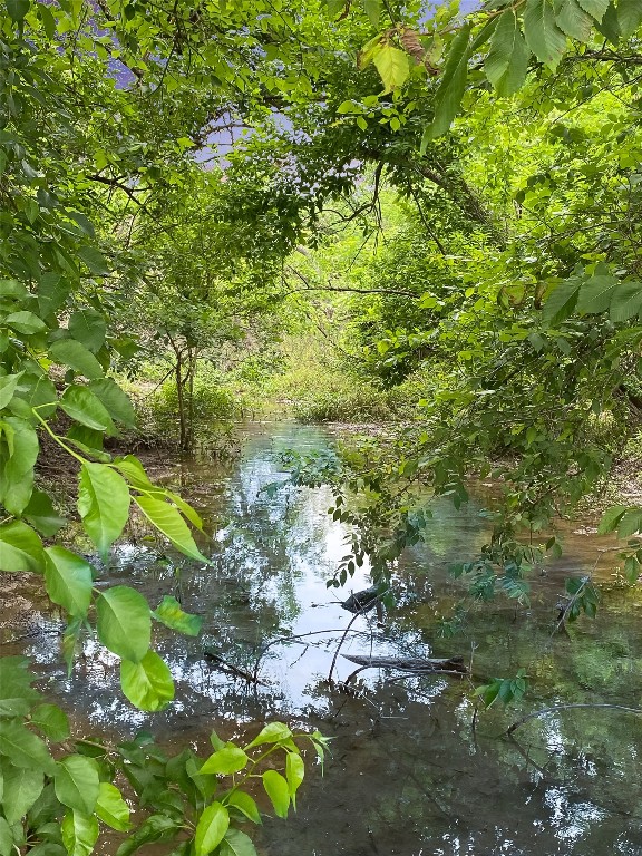 1515 County Road 315 Jarrell, TX 76537 - Photo 8 of 15