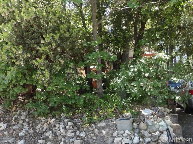24024 Bowl Road Crestline, CA 92325 - Photo 26 of 27 a view of a tree with a plant
