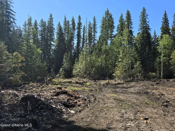 $395,000 | 2 Loop Moyie Springs, Moyie Springs, ID 83845