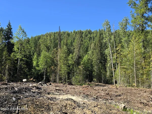 $395,000 | 2 Loop Moyie Springs, Moyie Springs, ID 83845