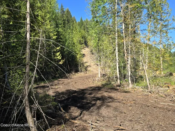 $395,000 | 2 Loop Moyie Springs, Moyie Springs, ID 83845