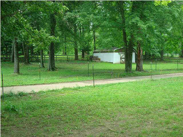 177 East Tennyson Road Boonville, IN 47601 - Photo 12 of 15 Gallery Image 12