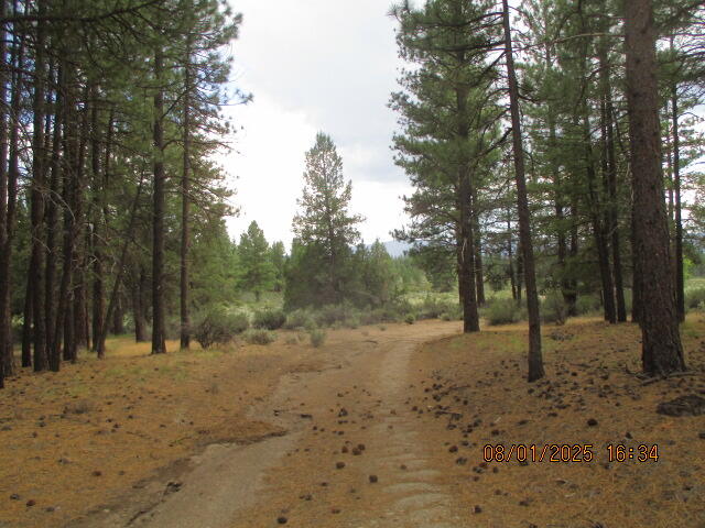 44 A Lone Pine Road Chiloquin, OR 97624 - Photo 5 of 25 IMG_9774