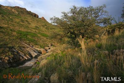 11 Pinnacle Gulch Court Rio Rico, AZ 85648 - Photo 13 of 15 a view of a field