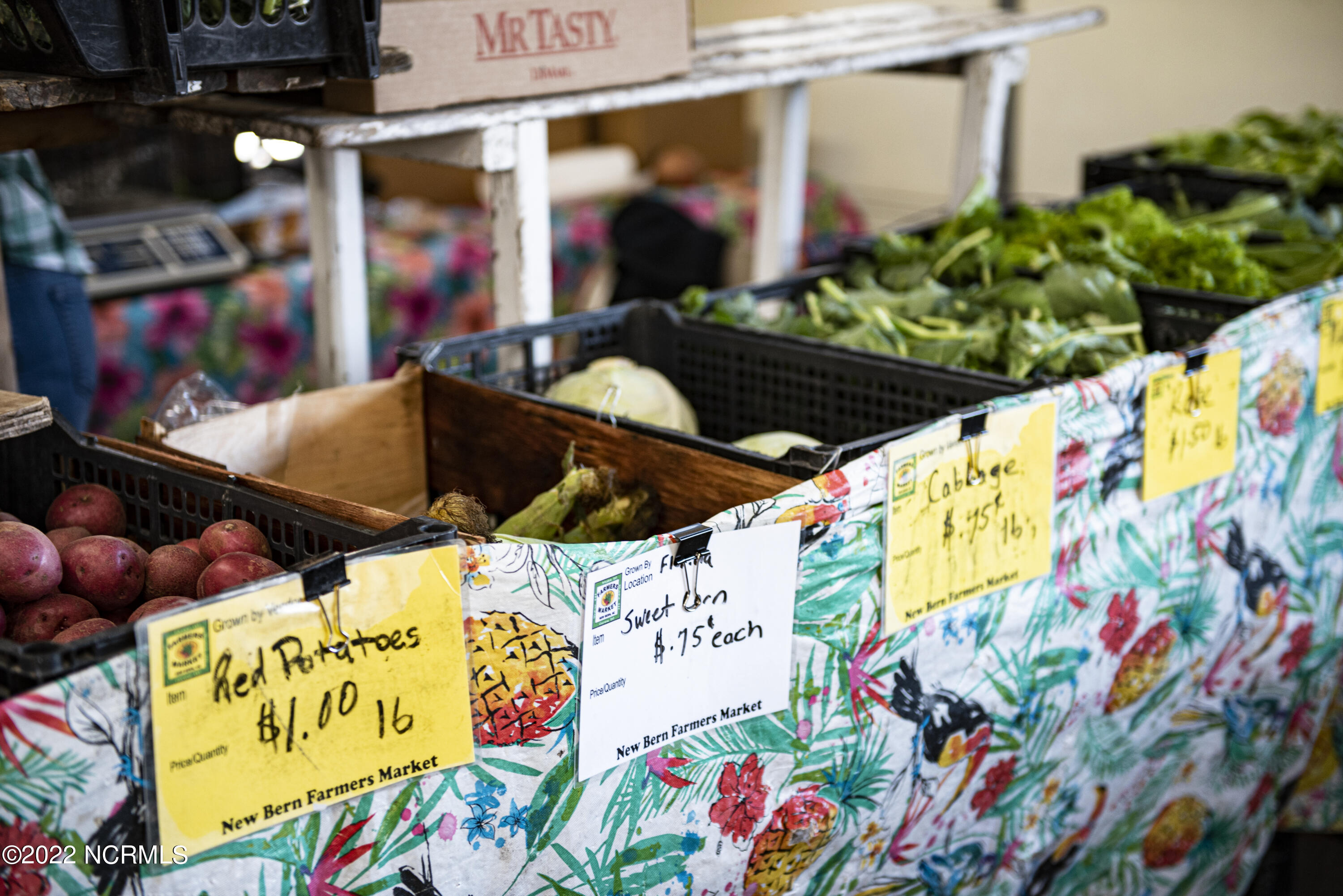 102 Cabot Circle New Bern, NC 28560 - Photo 15 of 26 New Bern