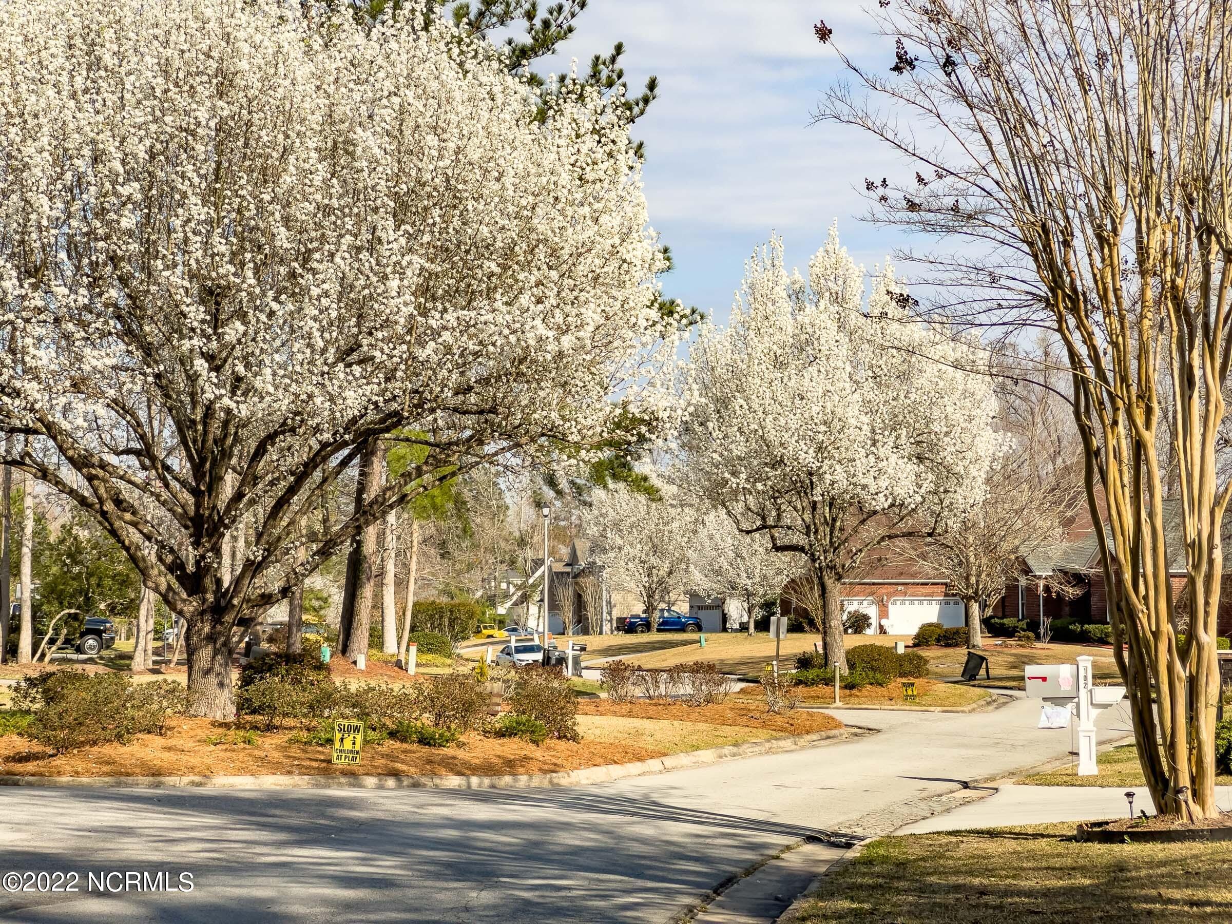 102 Cabot Circle New Bern, NC 28560 - Photo 9 of 26 Neuse Harbour - Neighborhood