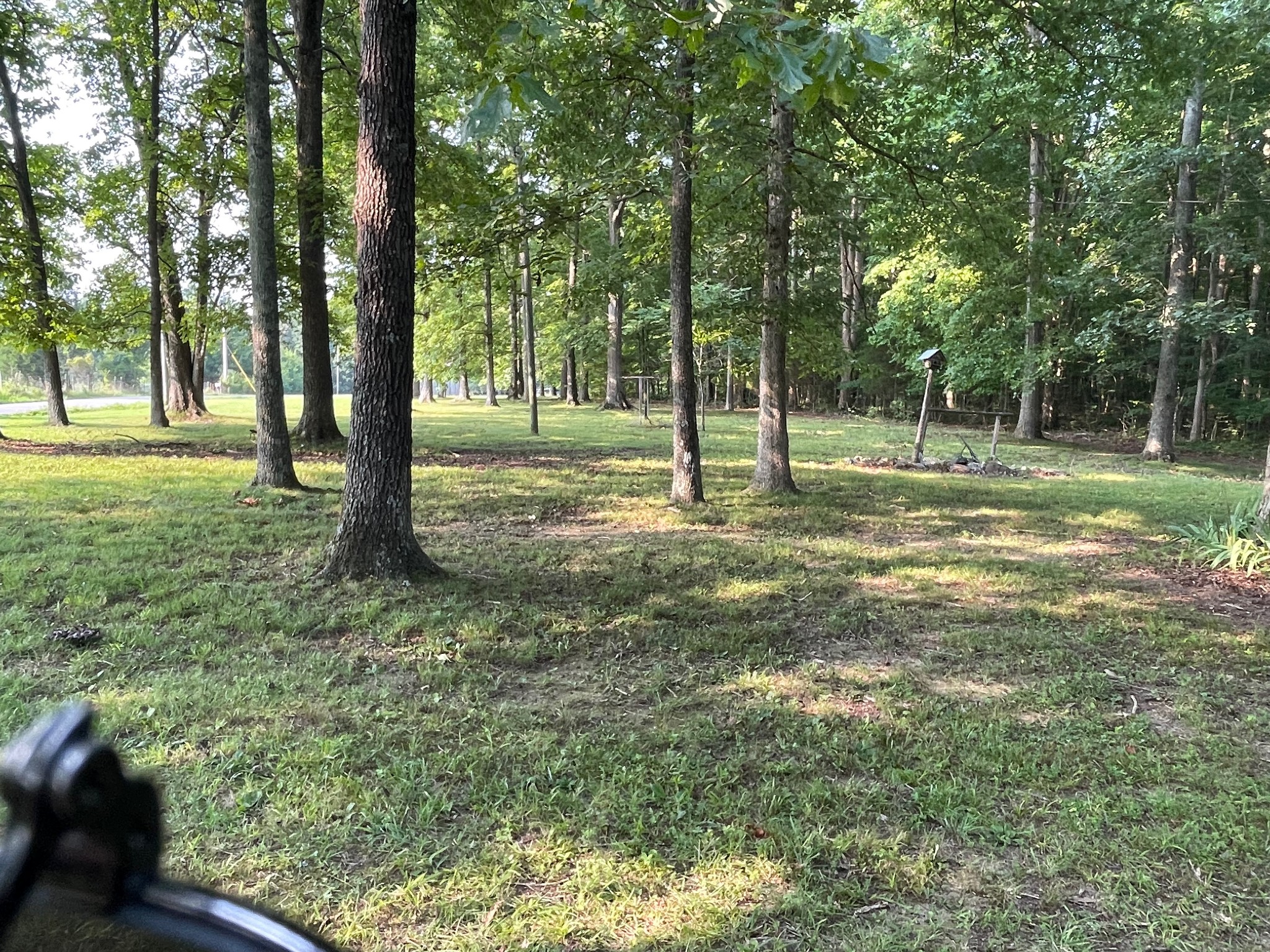 370 Buck Perry Road Bethpage, TN 37022 - Photo 2 of 2 a view of a yard with a tree