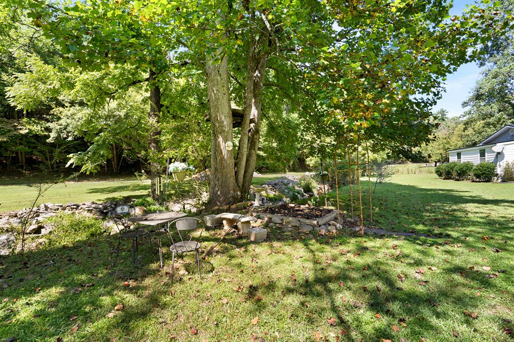 6491 Crooked Creek Road Young Harris, GA 30582 - Photo 54 of 59 a view of yard with green space