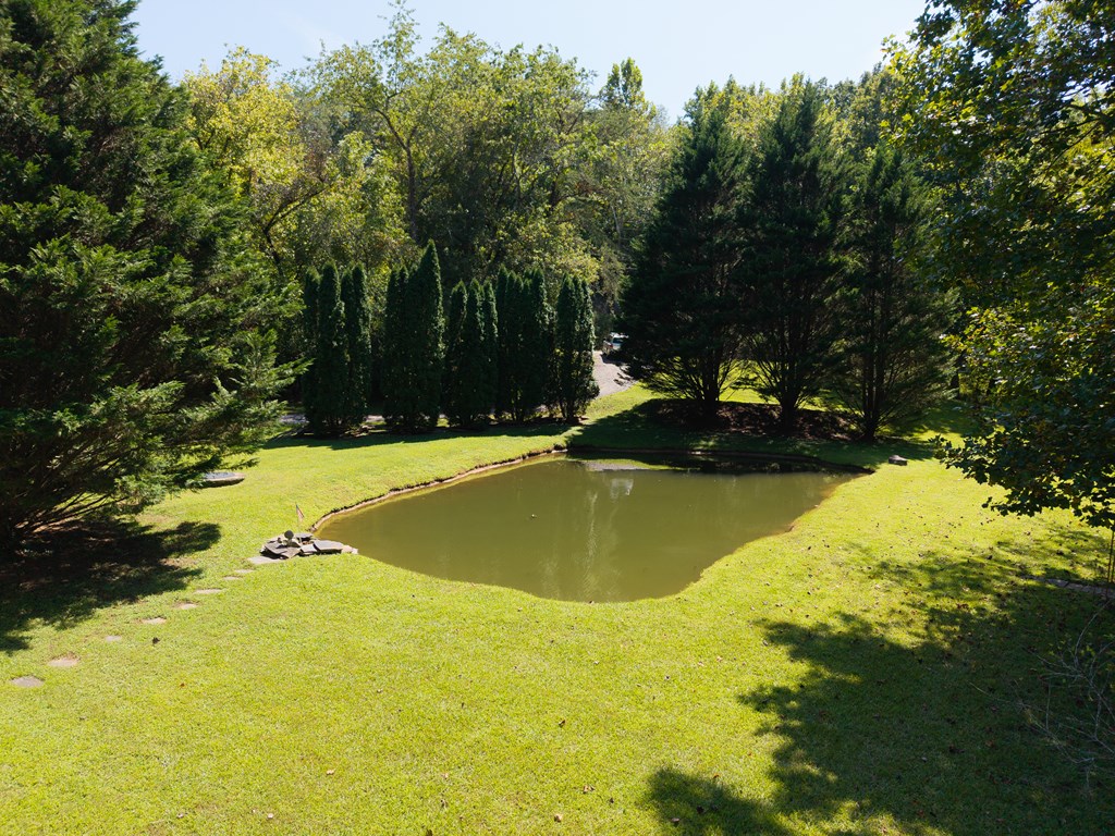 6491 Crooked Creek Road Young Harris, GA 30582 - Photo 56 of 59 a view of swimming pool from a yard