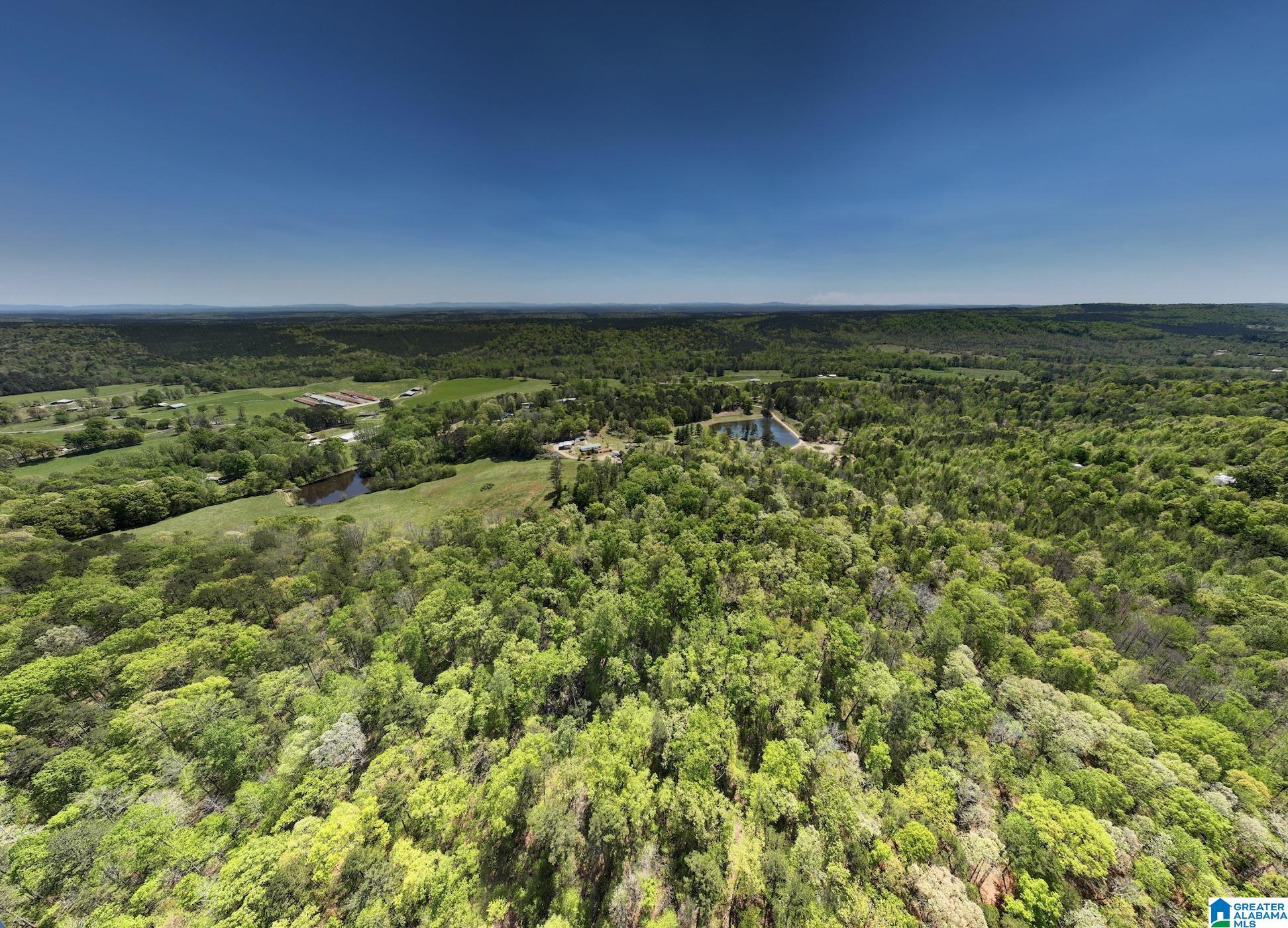 0 Pike Hill Road Ashville, AL 35953 - Photo 21 of 22