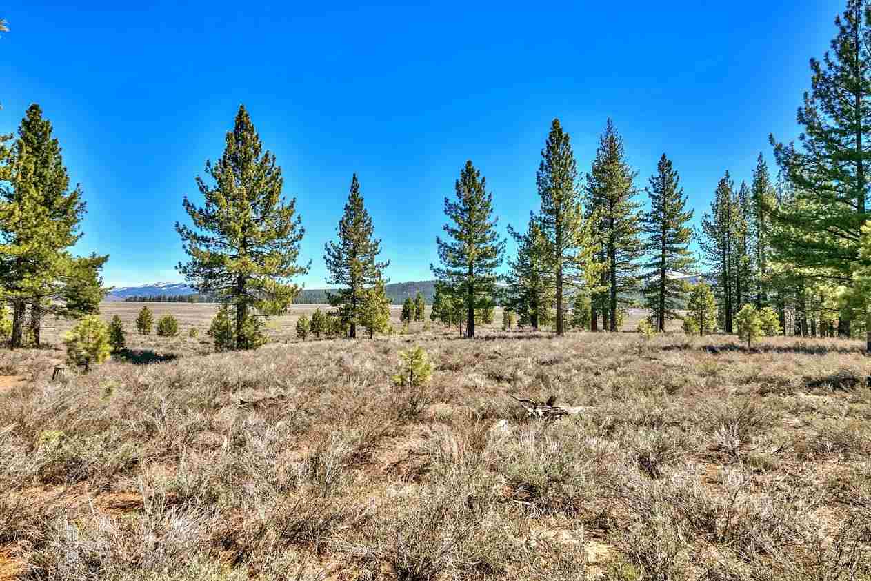 7565 Lahontan Drive Truckee, CA 96161 - Photo 11 of 21 a row of trees with tree in the background
