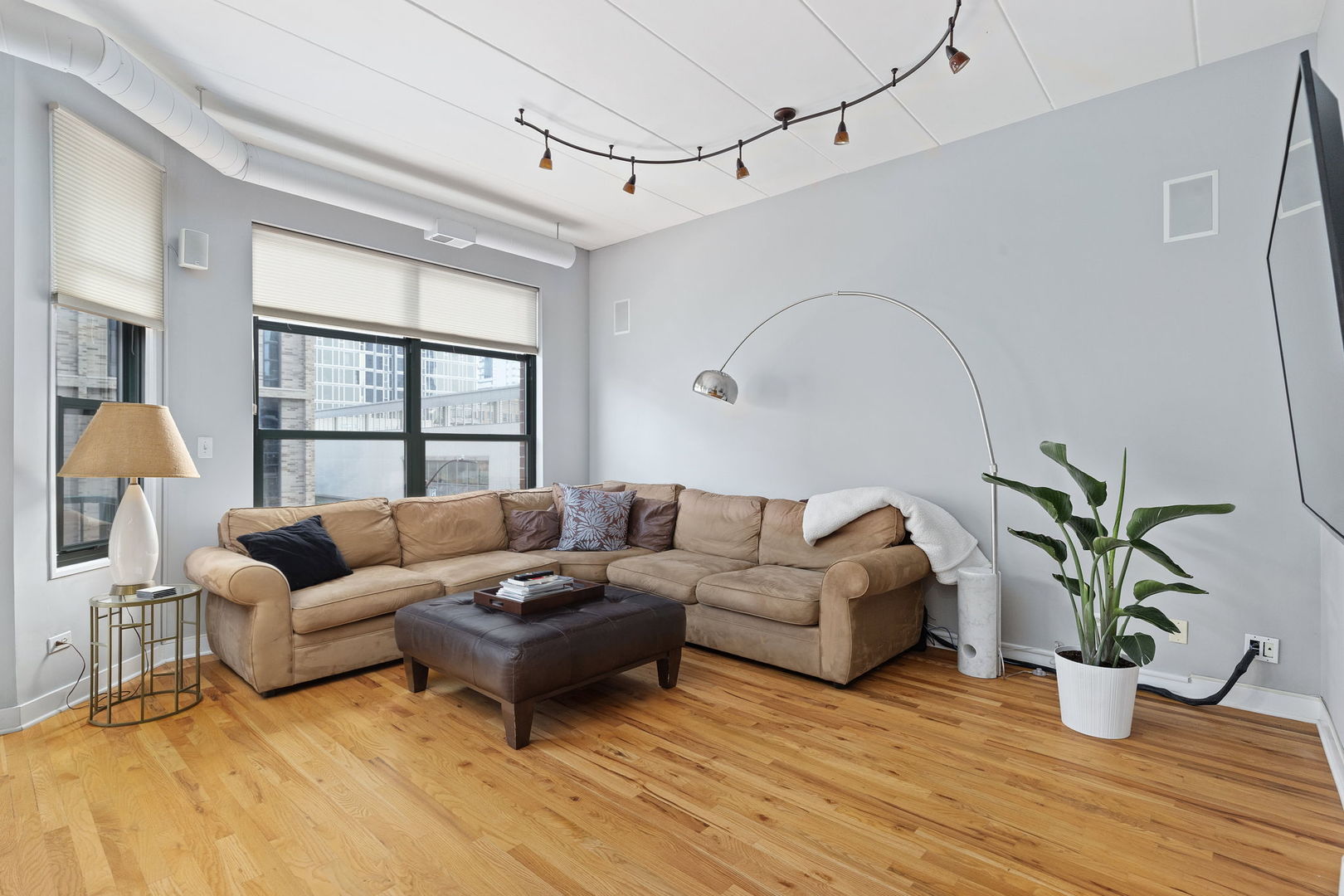 841 West Monroe Street, Unit 4B Chicago, IL 60607 - Photo 9 of 25 a living room with furniture and a potted plant