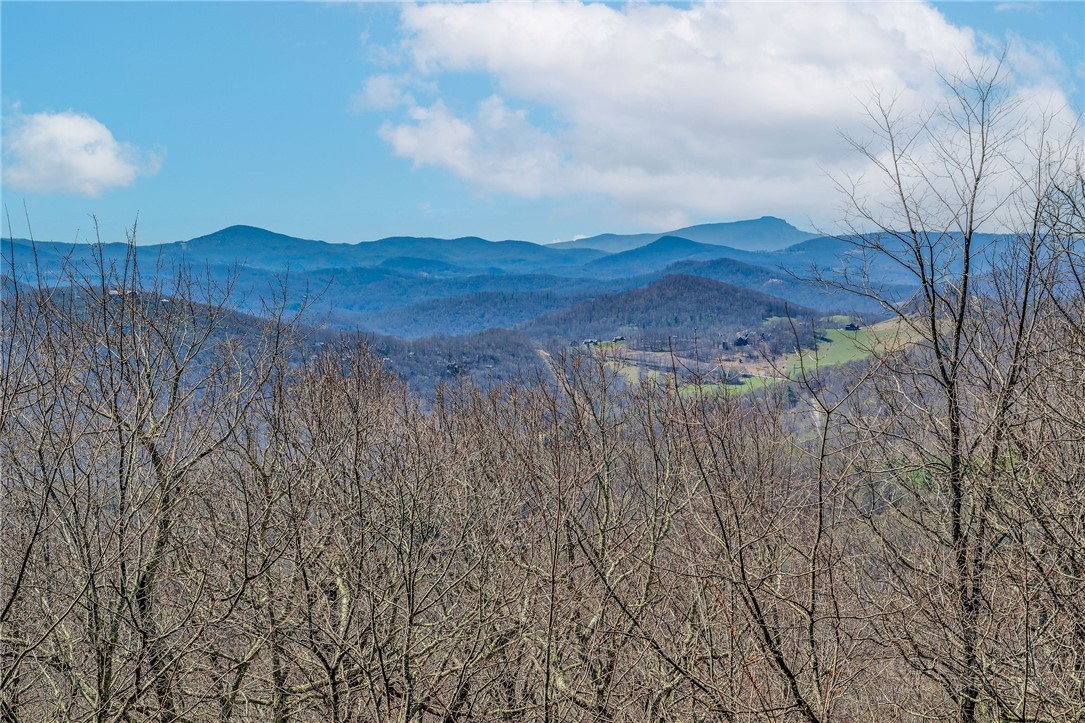 1992 Homestead Road Todd, NC 28684 - Photo 2 of 44 a view of an outdoor space with mountain view