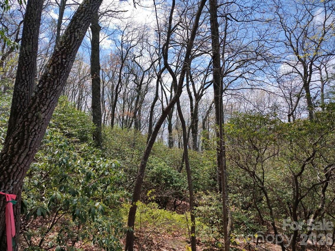 99999 Red Oak Forest Road, Unit 1418 Fairview, NC 28730 - Photo 2 of 24