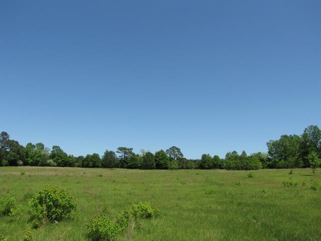 85195 Barcelona Road Covington, LA 70435 - Photo 1 of 4 Gallery Image 1