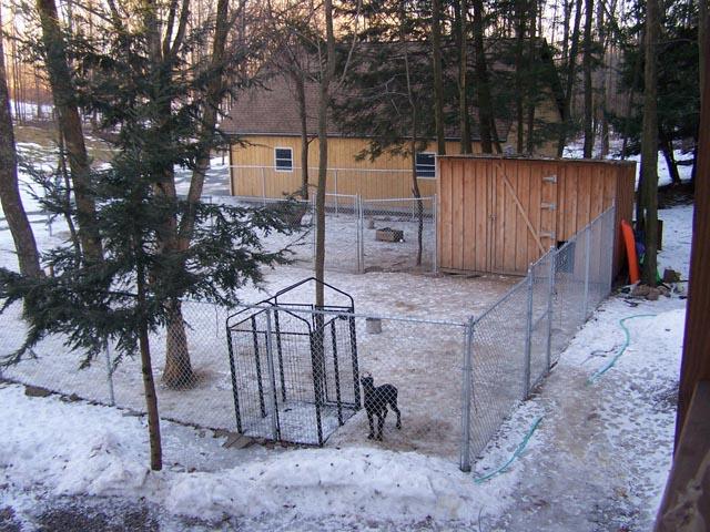 69 T 457 Corbin Road Hop Bottom, PA 18824 - Photo 4 of 12 a view of a backyard