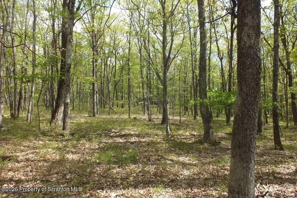 $19,500 | Red Rock Circle, Hawley, PA 18428