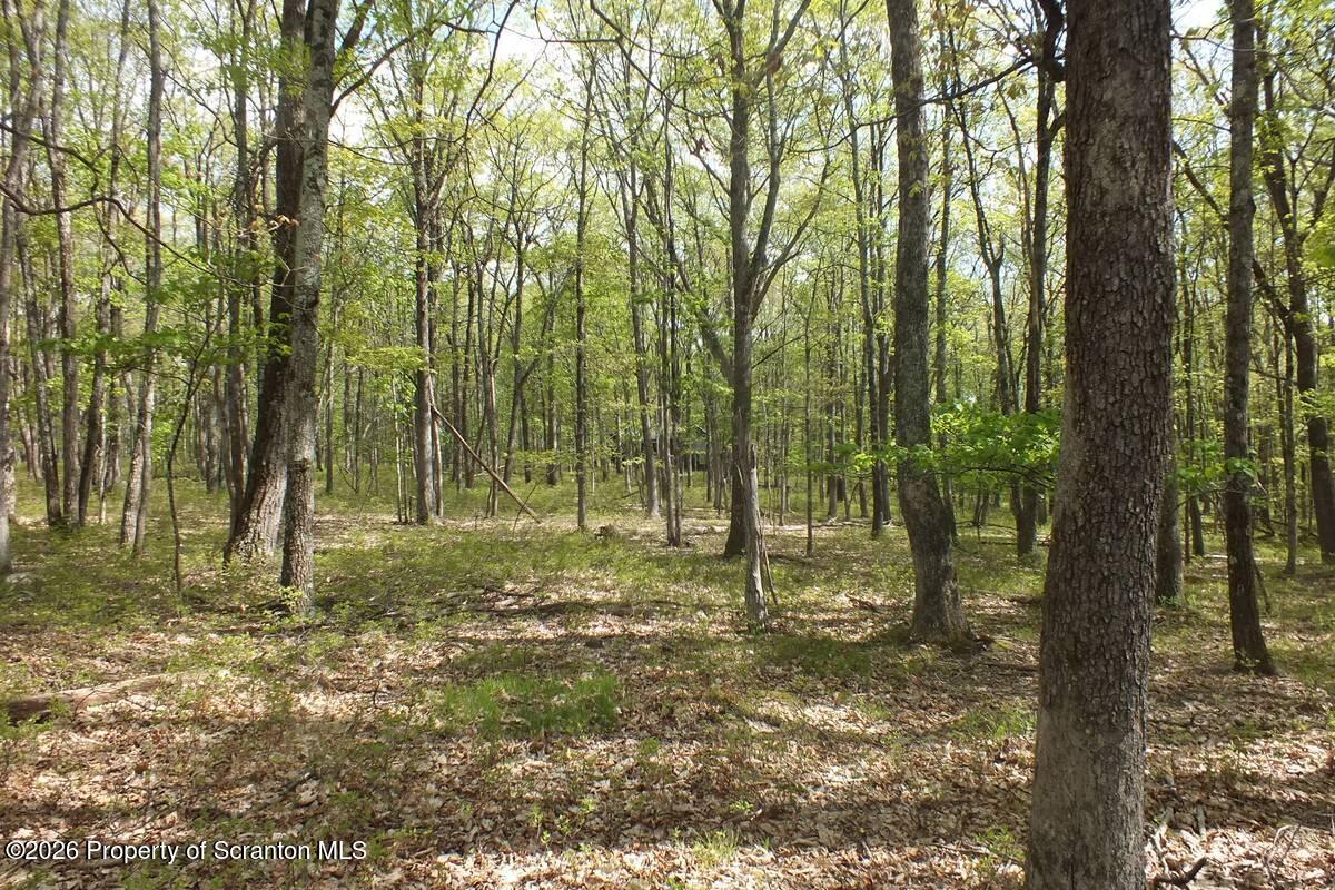 Red Rock Circle Hawley, PA 18428 - Photo 11 of 13 a view of outdoor space with trees