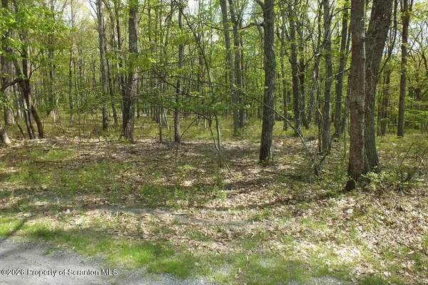 $19,500 | Red Rock Circle, Hawley, PA 18428