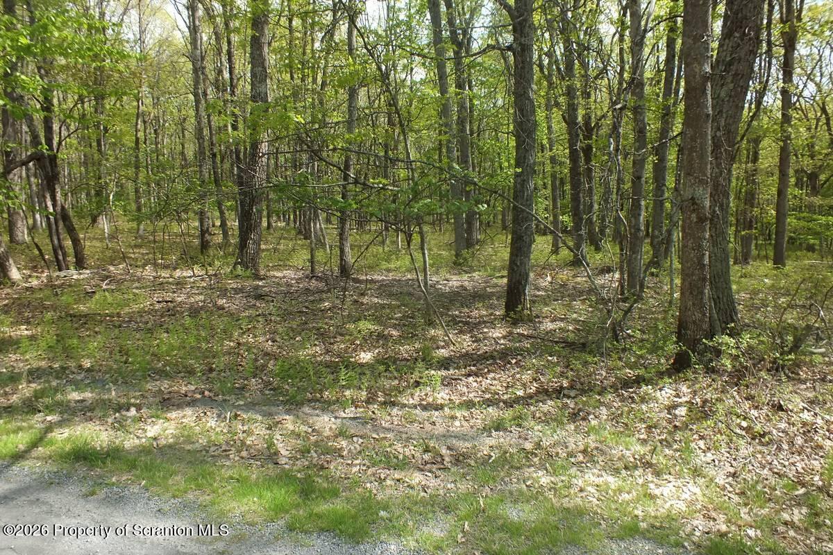 Red Rock Circle Hawley, PA 18428 - Photo 9 of 13 a view of outdoor space with trees