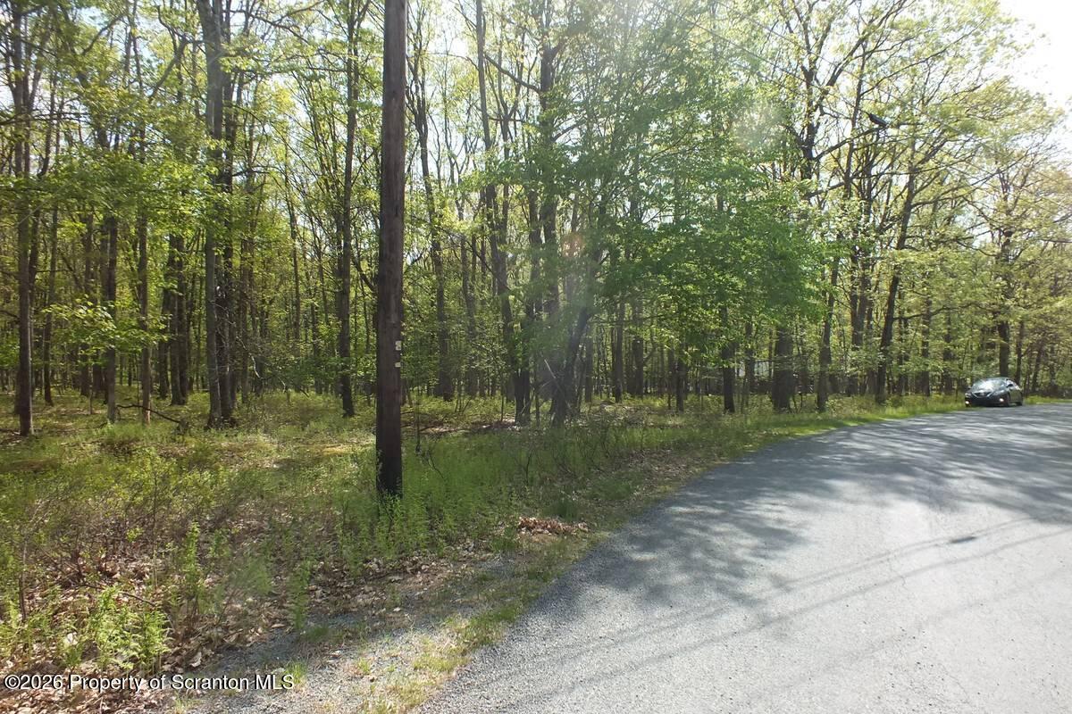 Red Rock Circle Hawley, PA 18428 - Photo 10 of 13 a view of outdoor space and trees