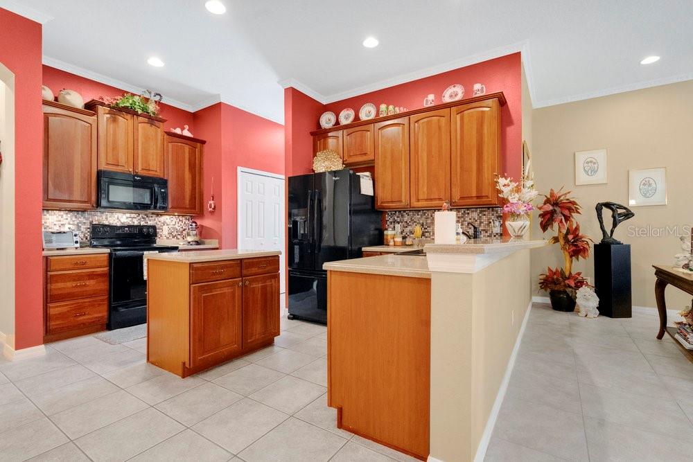 6139 Andreozzi Lane Windermere, FL 34786 - Photo 23 of 53