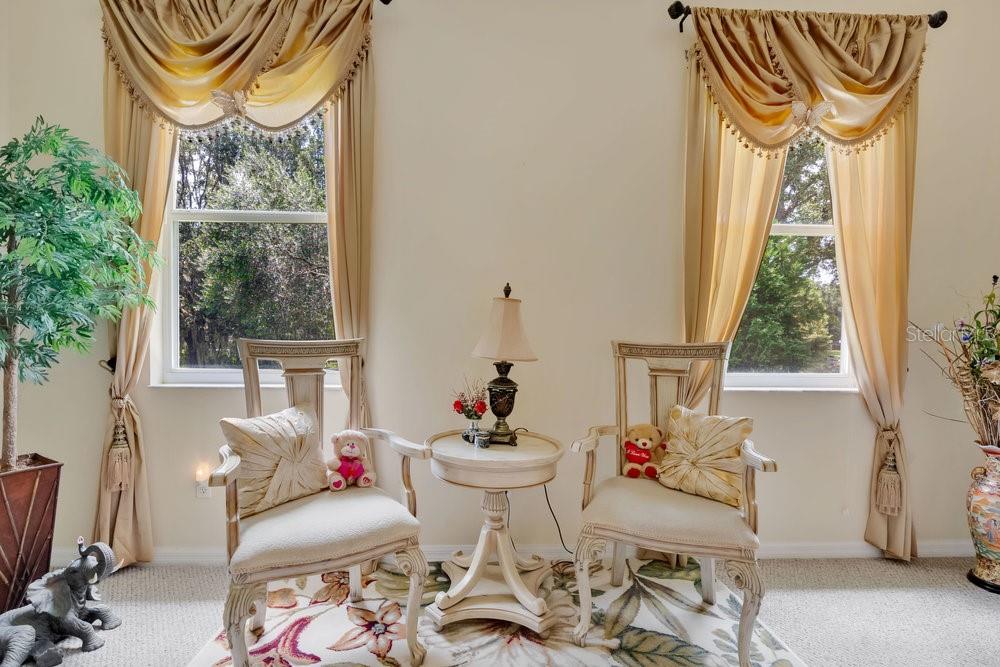 6139 Andreozzi Lane Windermere, FL 34786 - Photo 25 of 53 a living room with furniture and a window