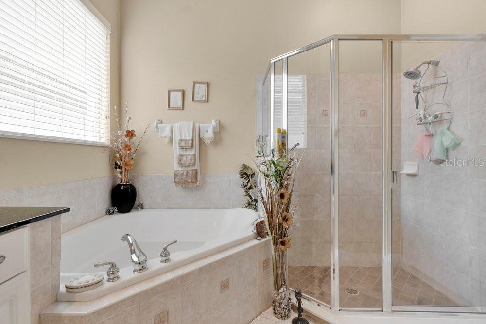 6139 Andreozzi Lane Windermere, FL 34786 - Photo 30 of 53 a bathroom with a tub and shower