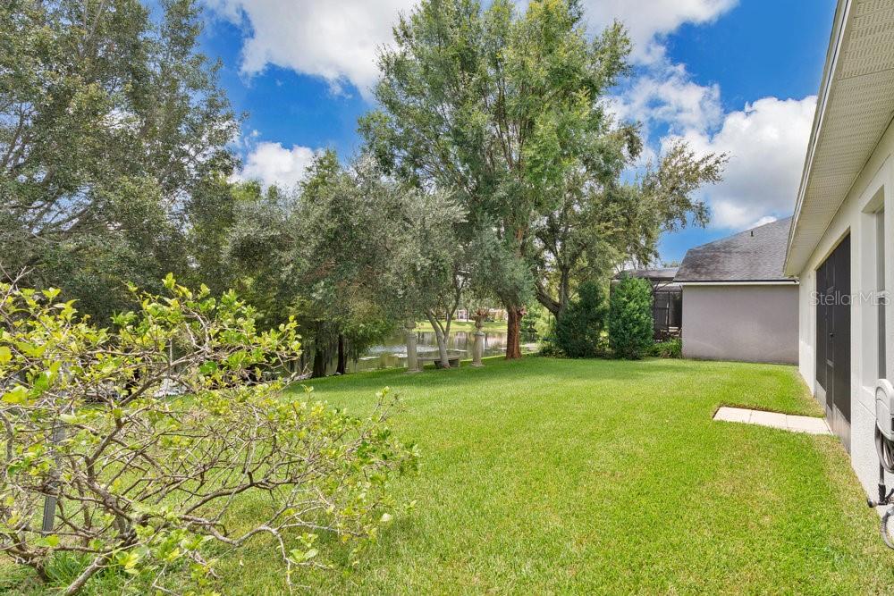 6139 Andreozzi Lane Windermere, FL 34786 - Photo 4 of 53 a view of a trees in a yard