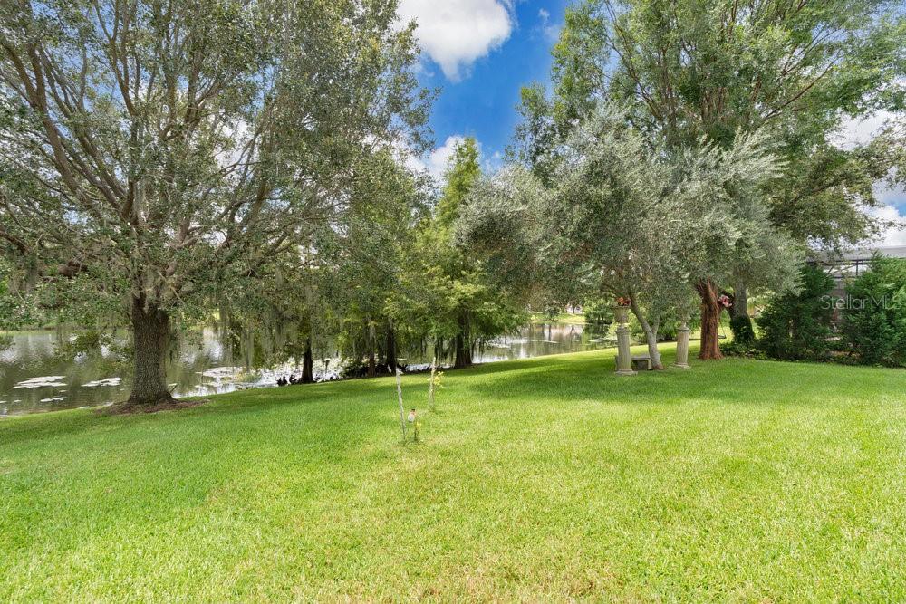 6139 Andreozzi Lane Windermere, FL 34786 - Photo 5 of 53 a view of a trees in a park