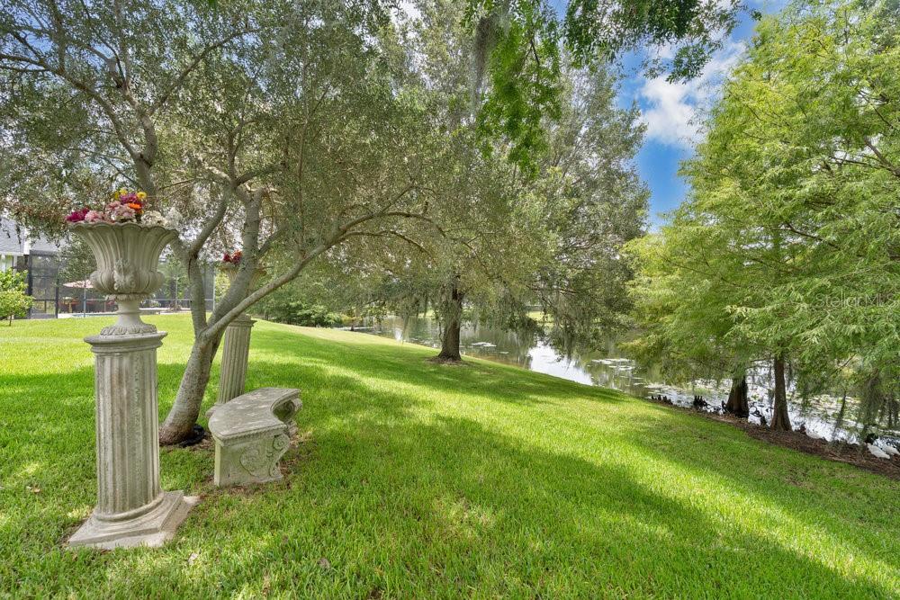6139 Andreozzi Lane Windermere, FL 34786 - Photo 6 of 53 a backyard of a house with table and chairs