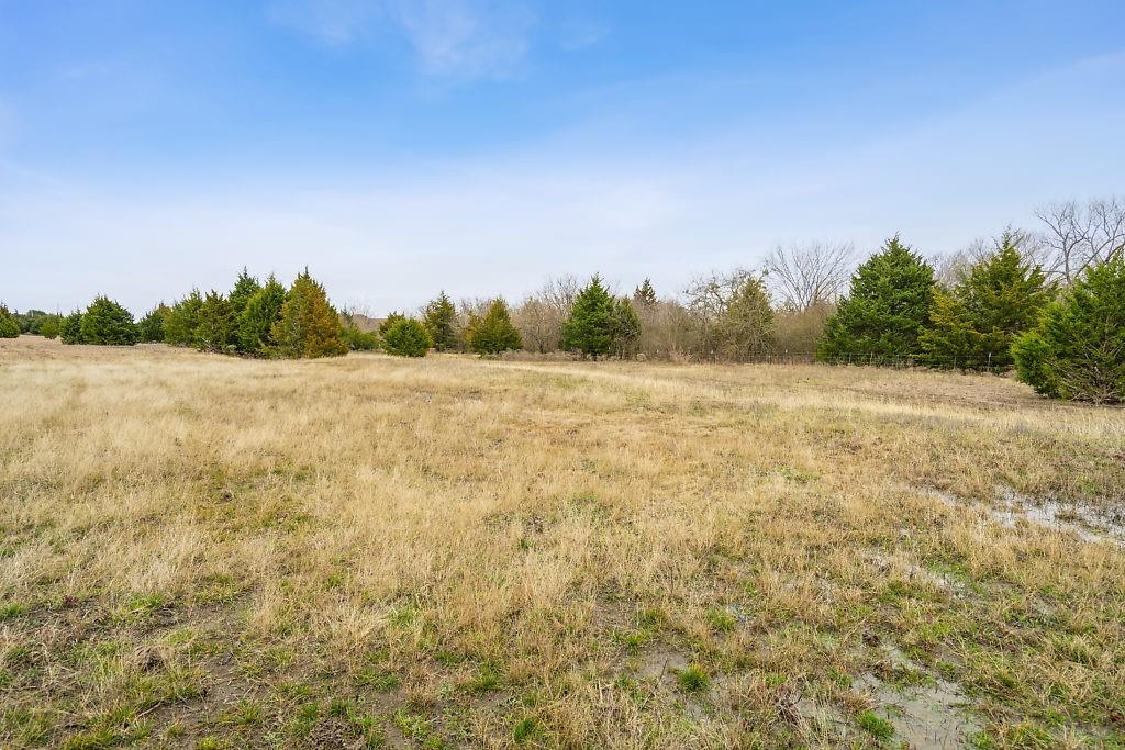 4505 Merritt Road Sachse, TX 75048 - Photo 17 of 22 a view of yard with trees in the background