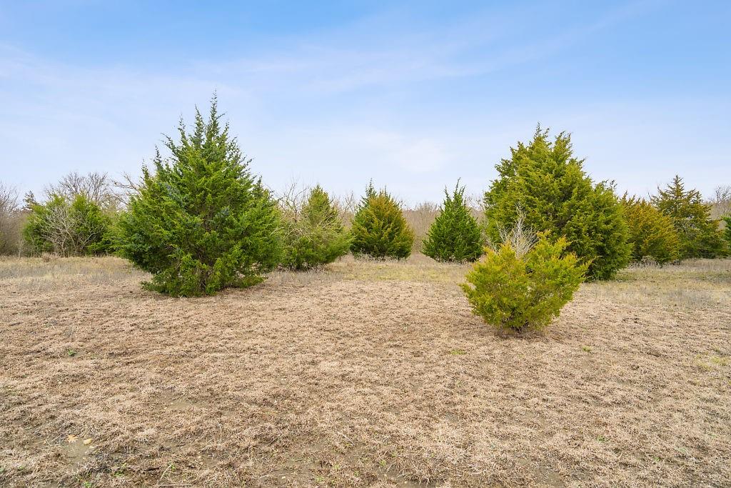 4505 Merritt Road Sachse, TX 75048 - Photo 19 of 22