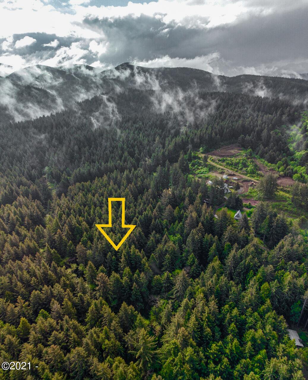 Lot Northeast East Line Road Yachats, OR 97498 - Photo 12 of 15 9