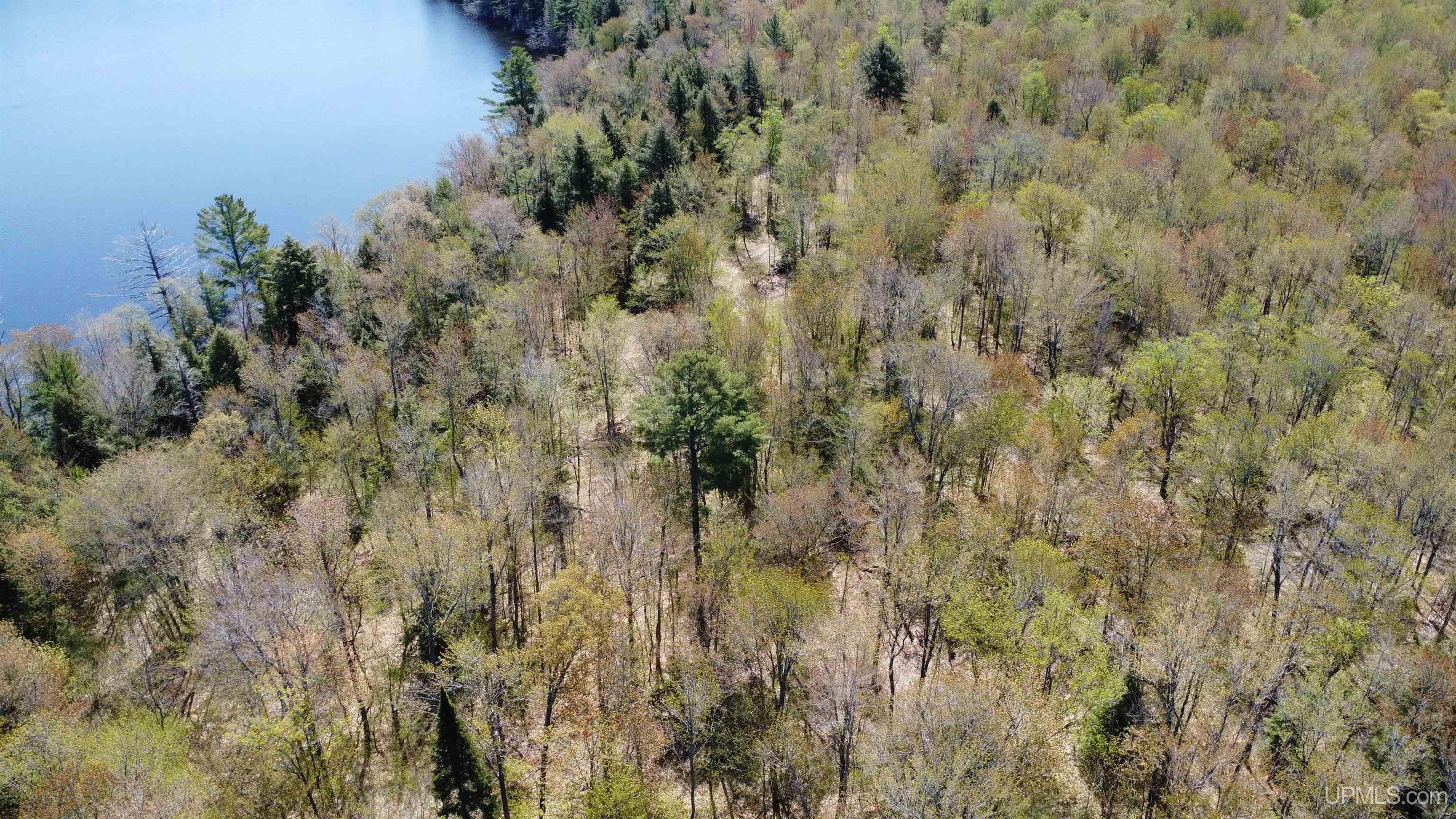 Off Adams Trail Shingleton, MI 49884 - Photo 25 of 46