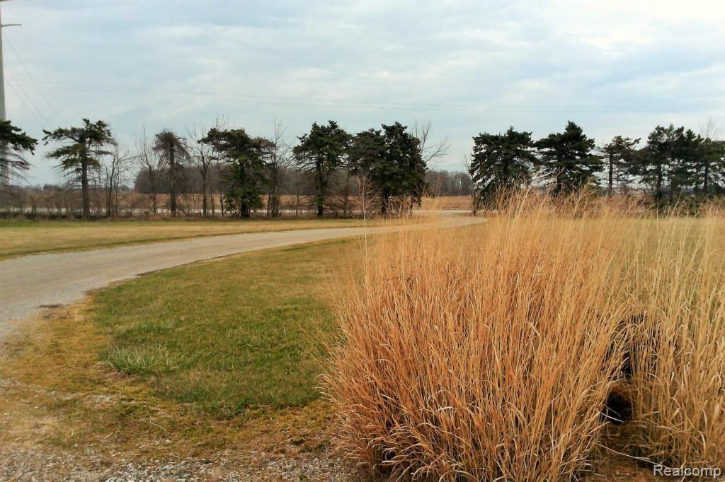 4985 Carrigan Road North Street, MI 48049 - Photo 37 of 39 WIN_20150413_123259.jpg