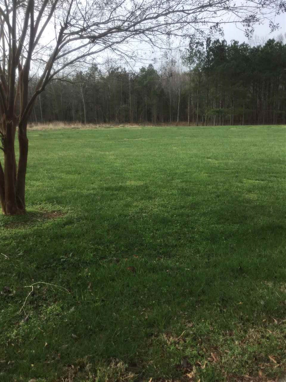9919 Quail Roost Road Bahama, NC 27503 - Photo 12 of 25 Field looking west