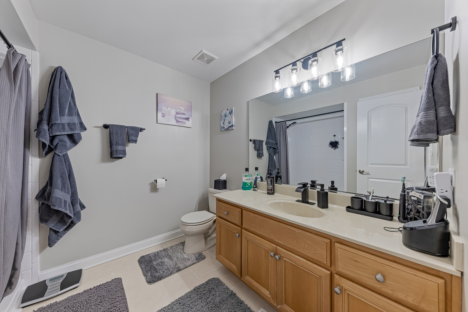 22341 Boulder Ridge Drive Mokena, IL 60448 - Photo 12 of 20