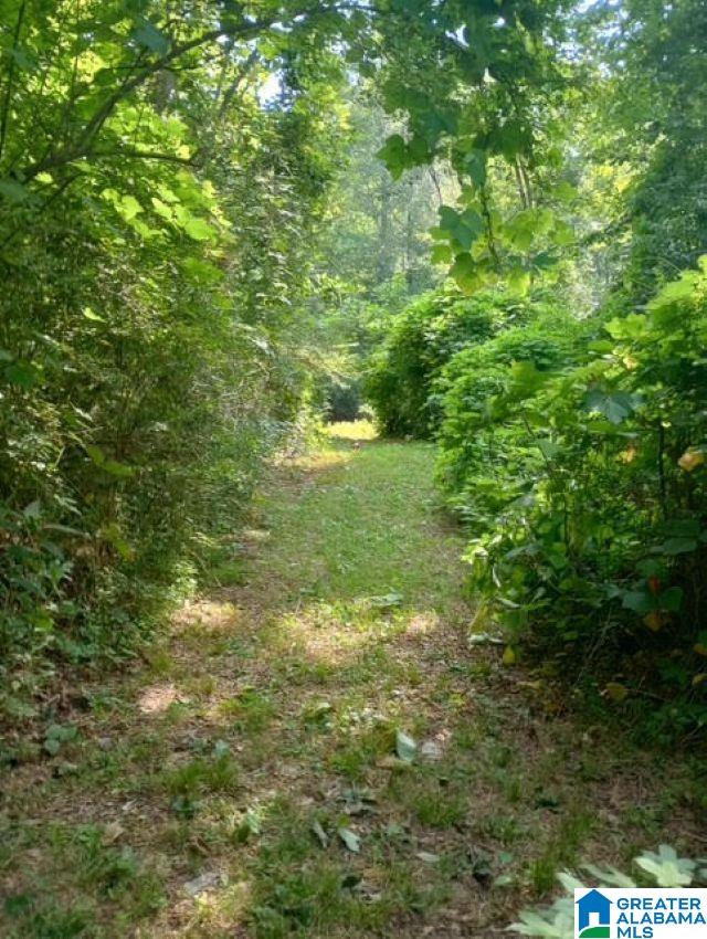 5100 Washington Valley Road, Unit PARCEL #1 Springville, AL 35146 - Photo 19 of 20