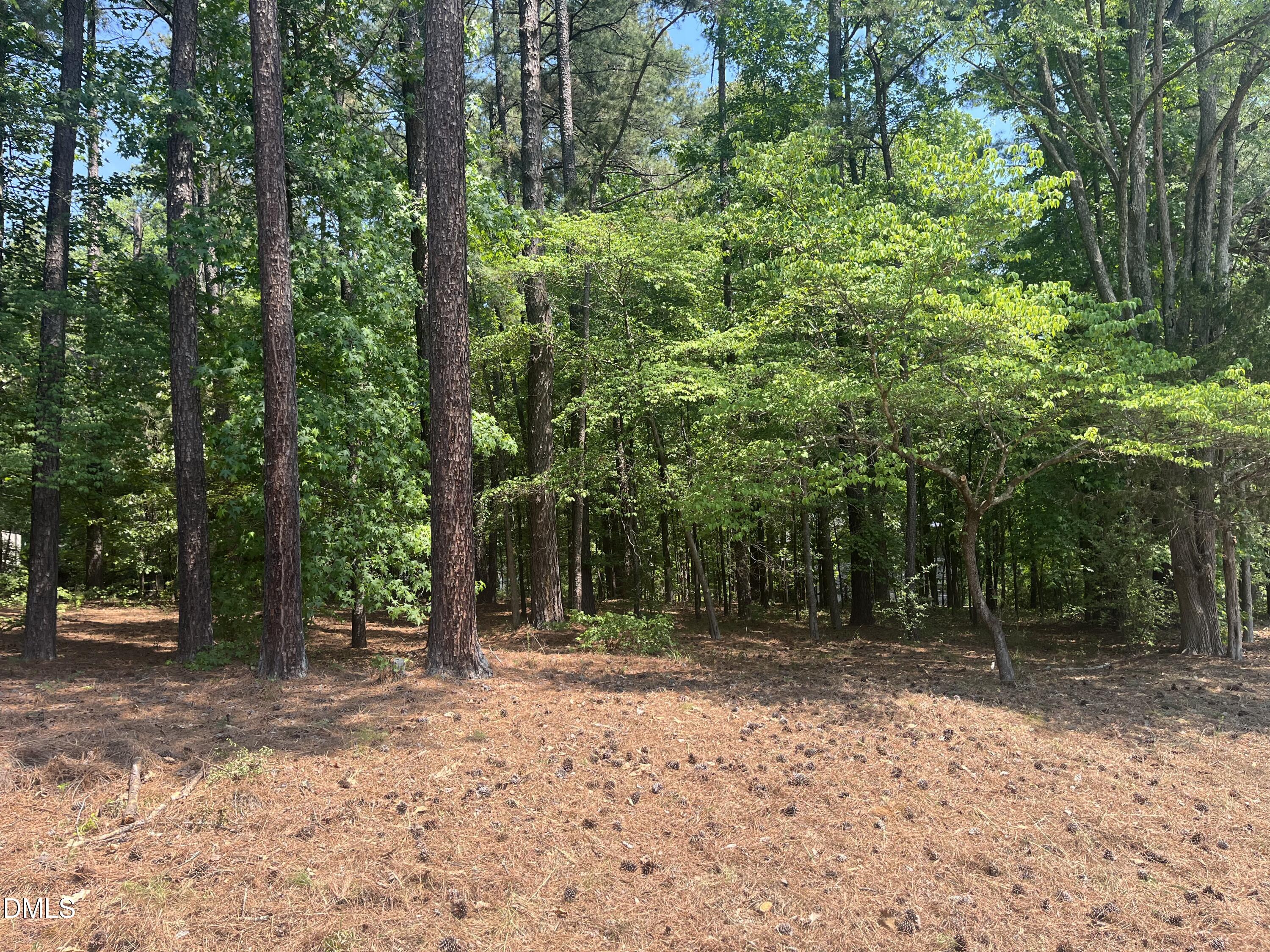 106 Spring Blossom Lane Durham, NC 27705 - Photo 2 of 5 Spring Blossom 1