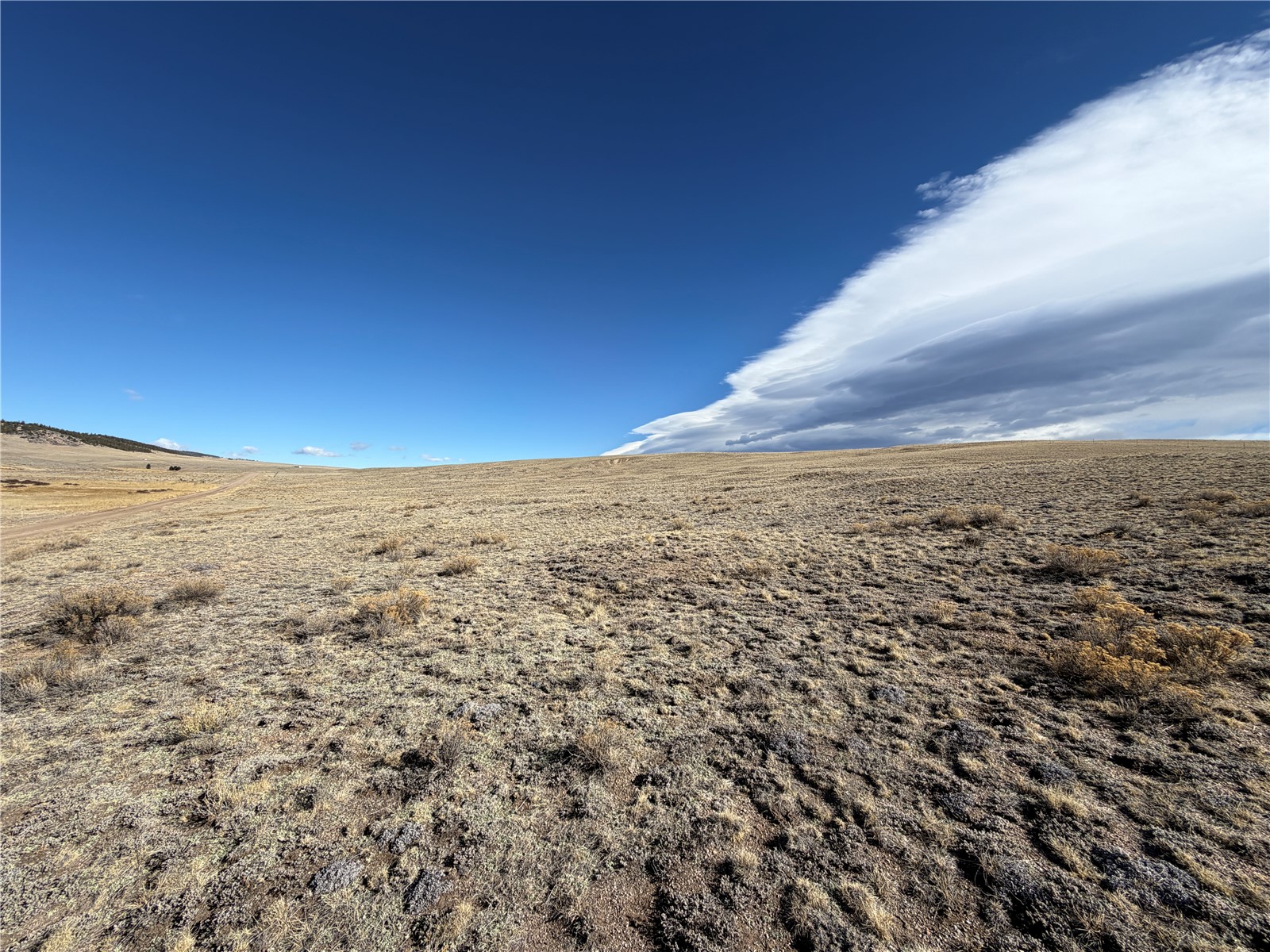 66 Wagon Wheel Road Hartsel, CO 80449 - Photo 11 of 17